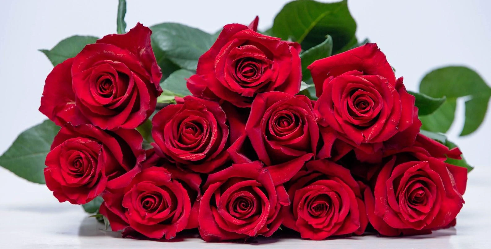 Ever Red